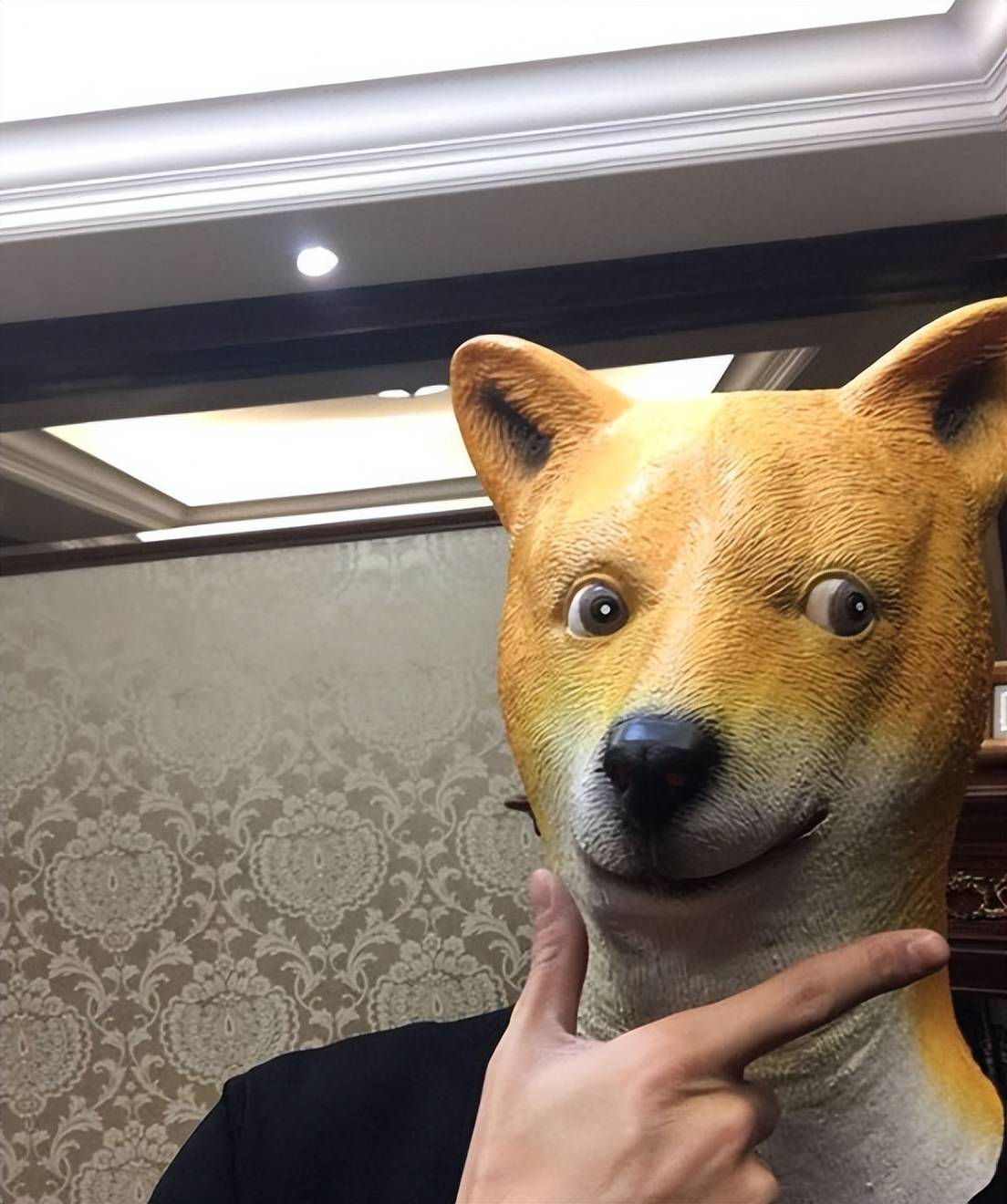 宅神君养生爱做饭35岁该折在女人手里了pg电子试玩平台九亿少女的梦林更新豪